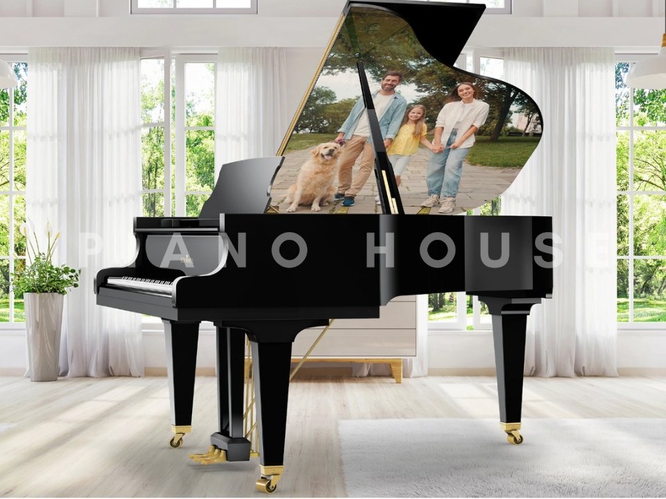 Schimmel Art Customized