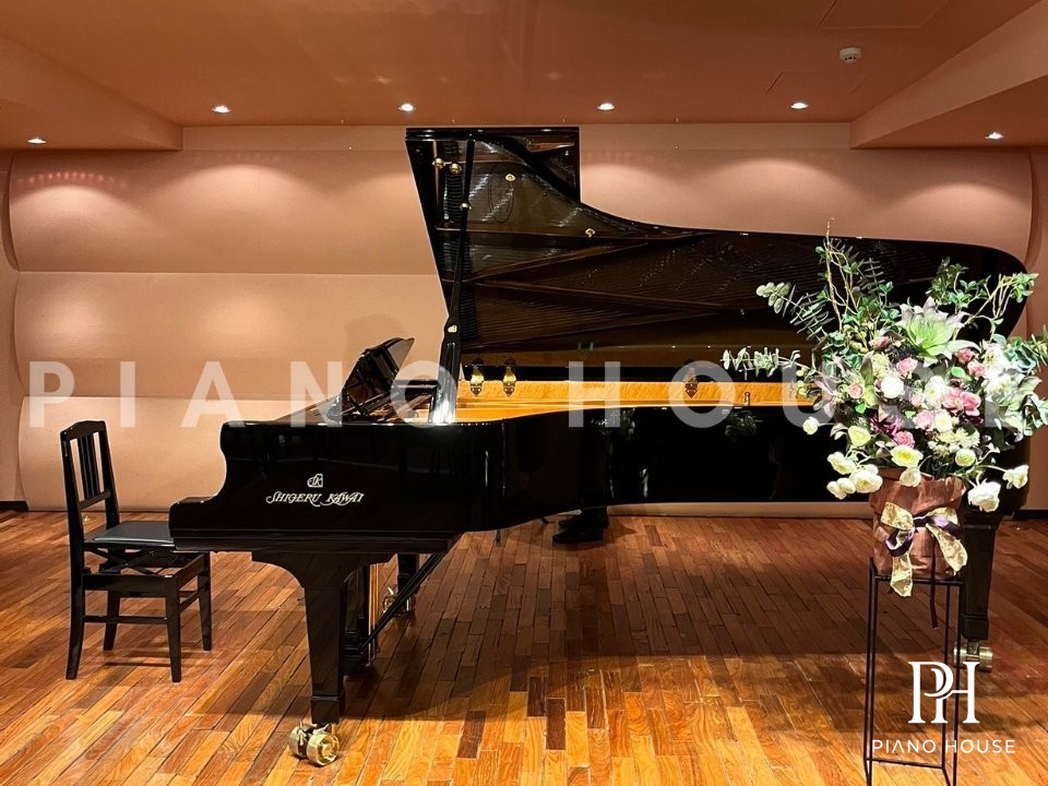 Shigeru Kawai SK-EX Detail 2