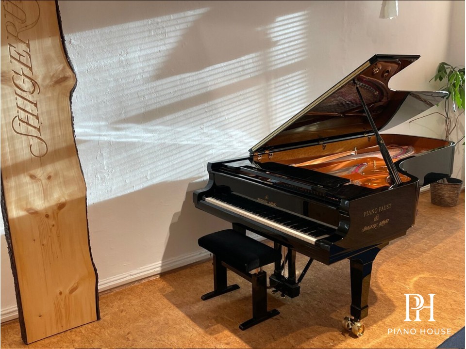 Shigeru Kawai Action detail