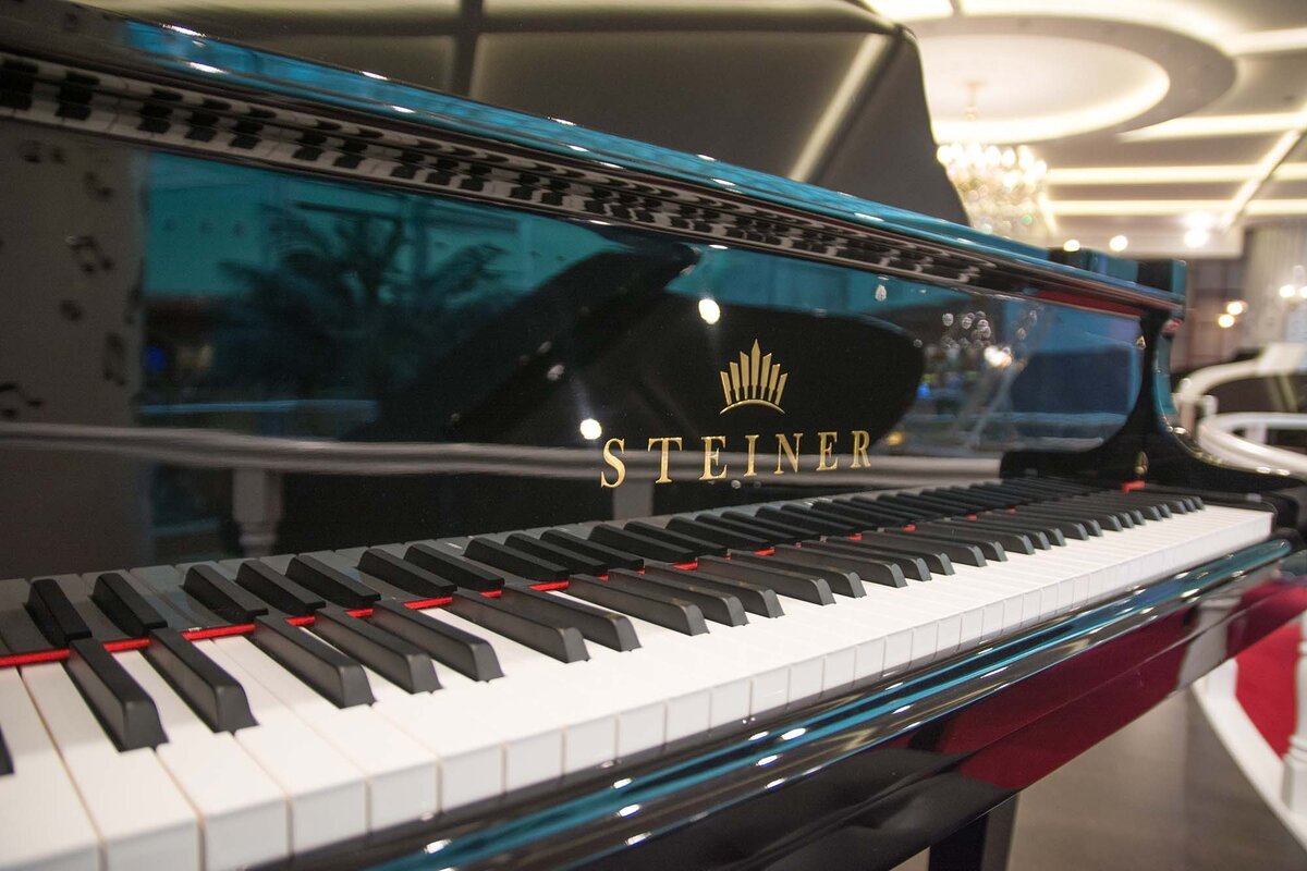 Steiner Grand Profile