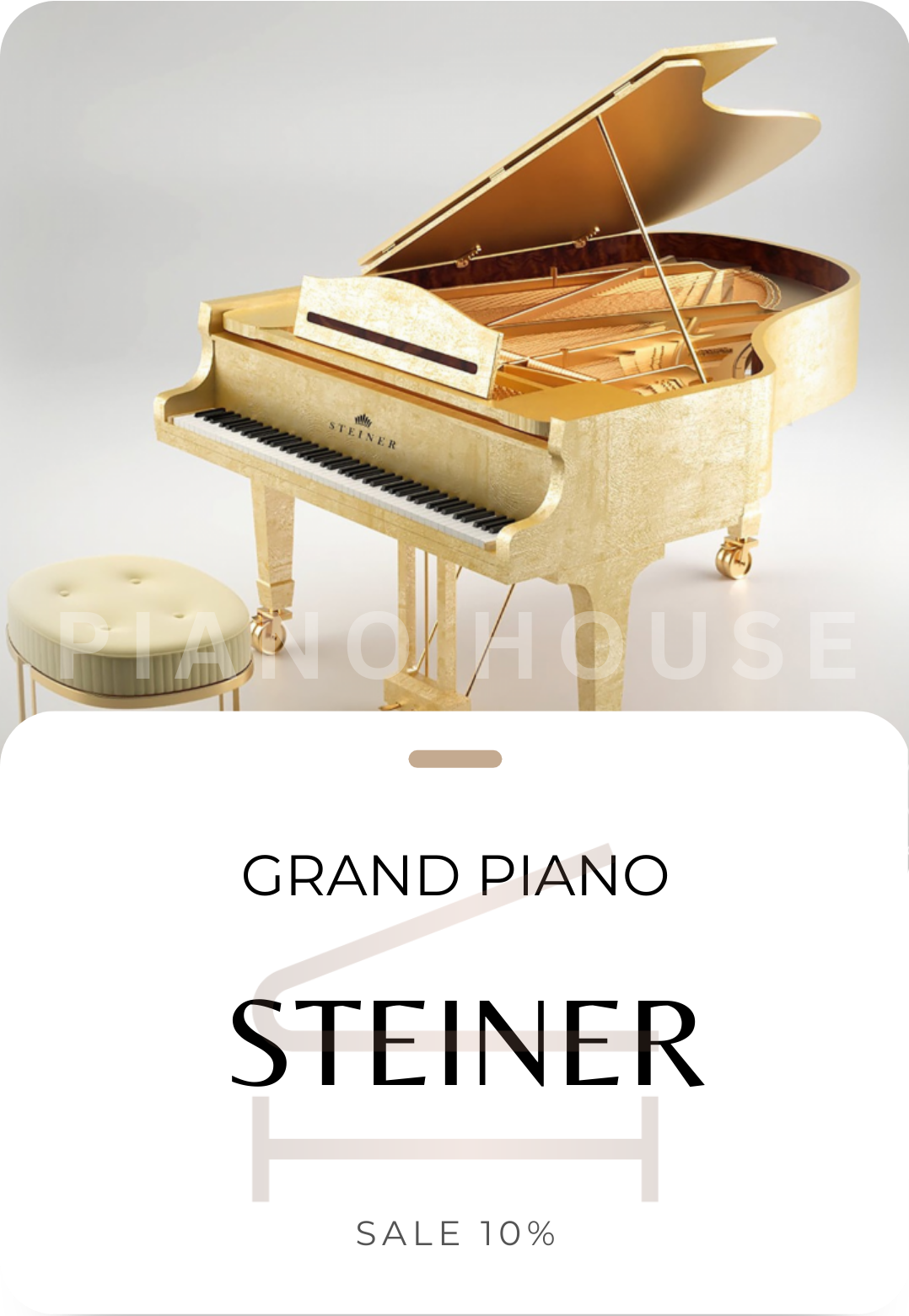 Steiner Piano Overview