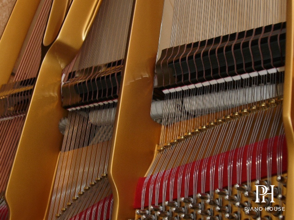 Steingraeber Model A-170 Interior Detail