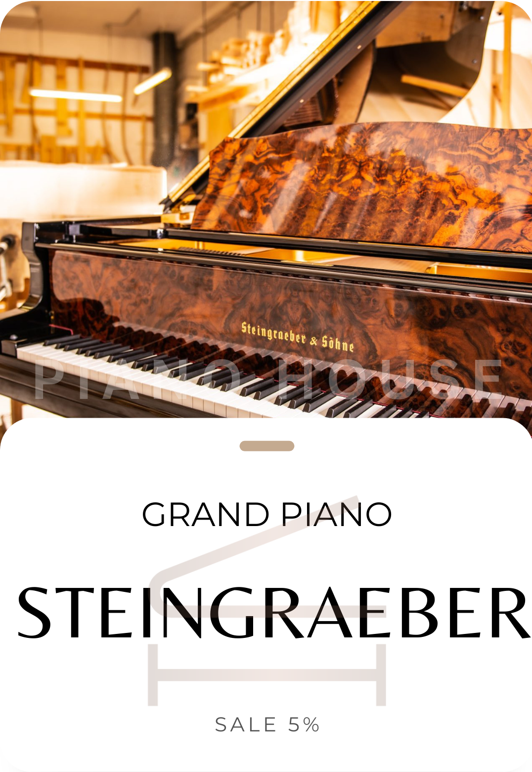 Steingraeber Piano Overview