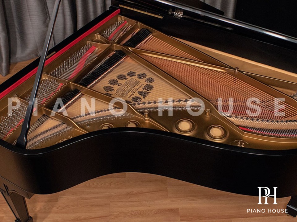 Steinway Model A3 Keyboard