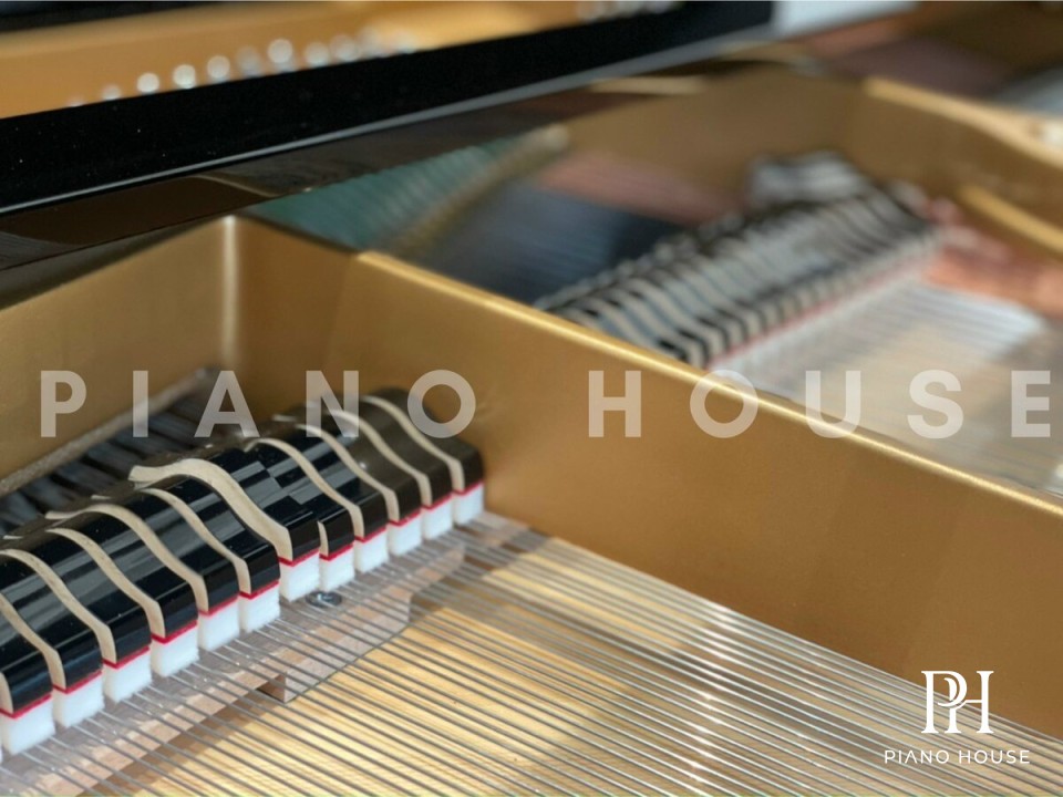 W.Hoffmann Interior Detail