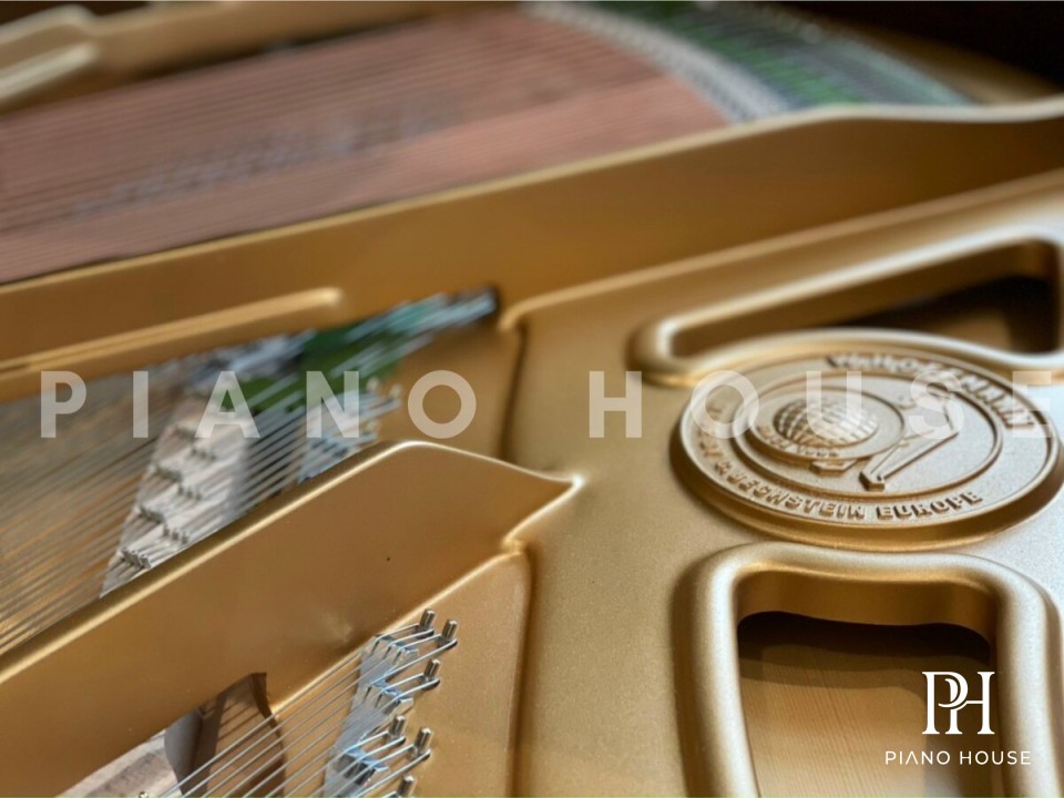 W.Hoffmann Action System