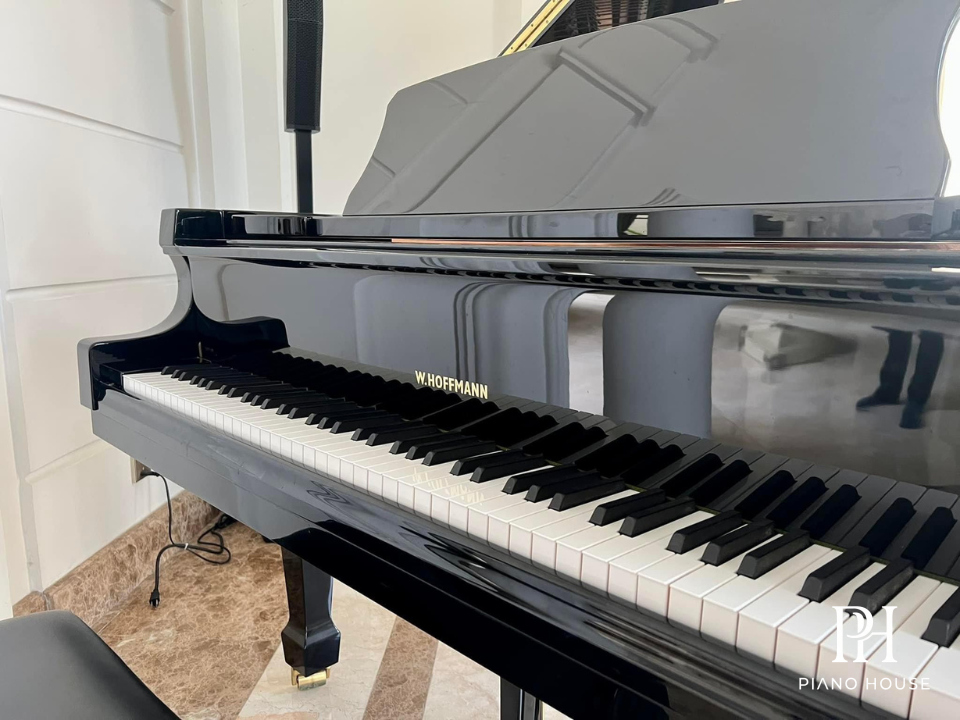 W.Hoffmann Soundboard Detail