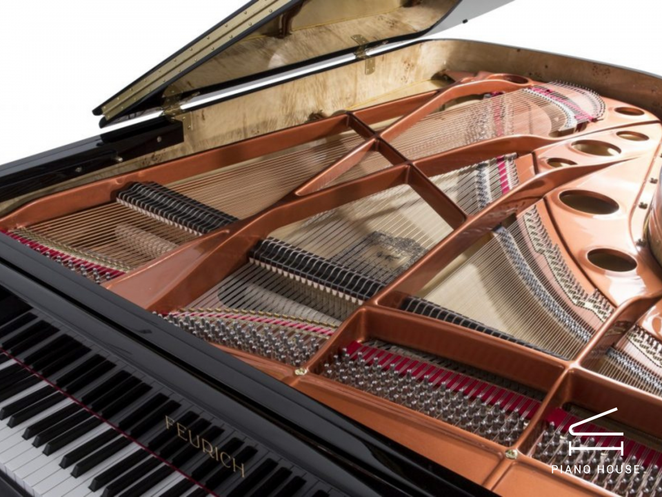 Wendl & Lung Collection