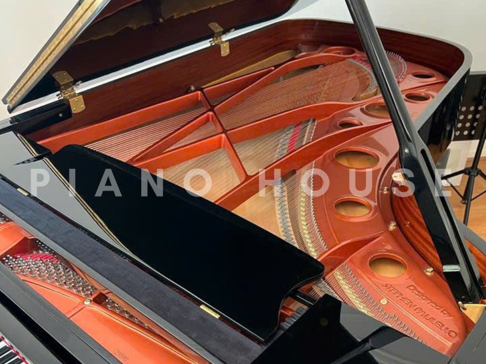 Wendl & Lung Mod. 218 Professional