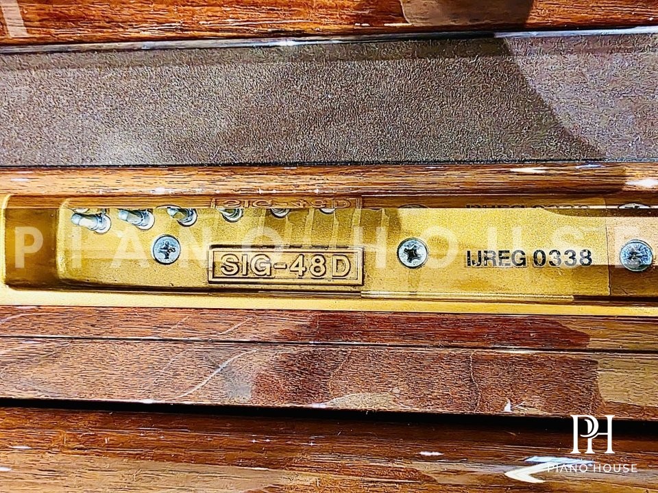 Knabe SIG-48D Action View