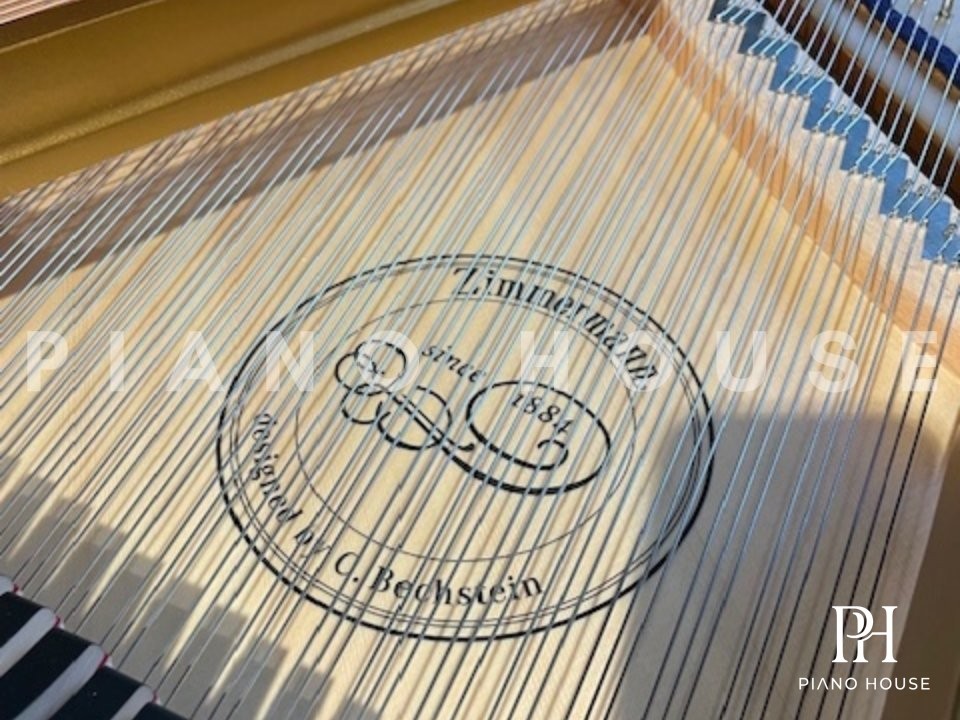 Zimmermann Hammer Detail