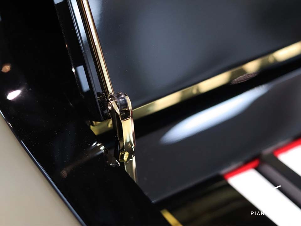 Apollo TAV-118 PE Detail