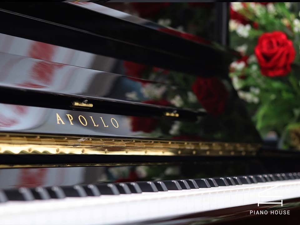 Upright Apollo TAV-118 PE