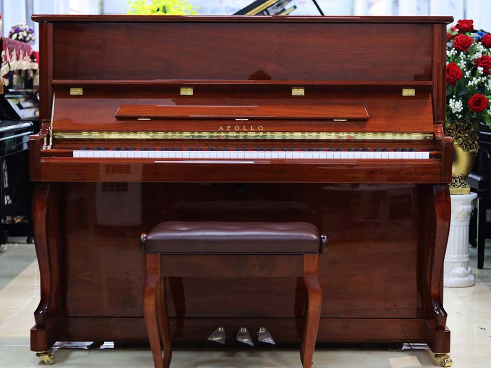 Apollo TAV-121 Walnut