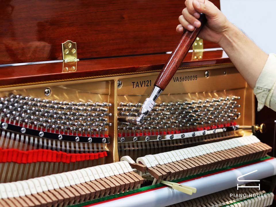Apollo Walnut Cabinet