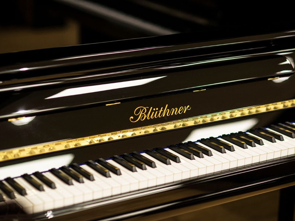 Blüthner Model Detail