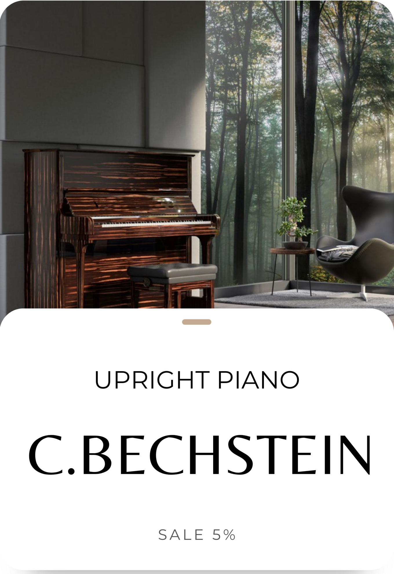 Bechstein Collection
