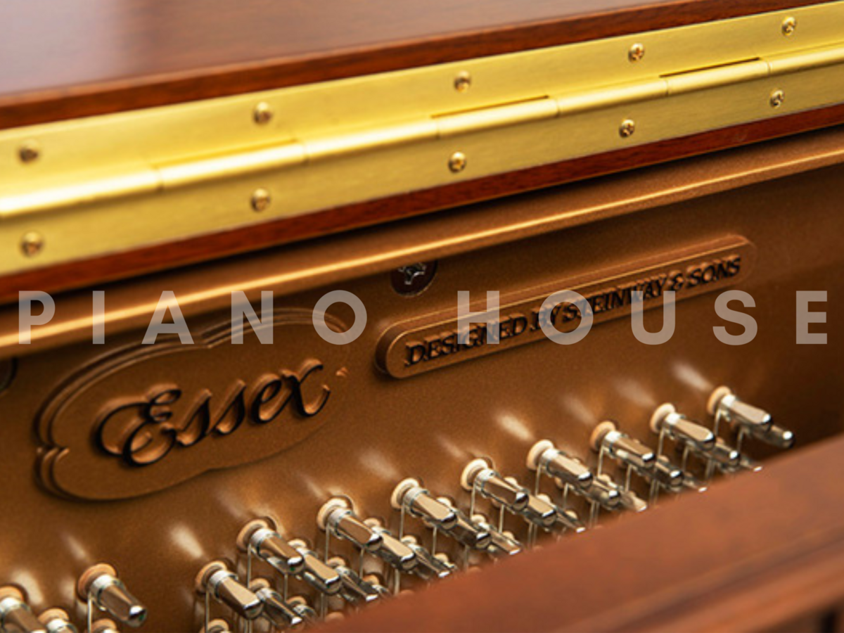 Essex EUP-123E Classic