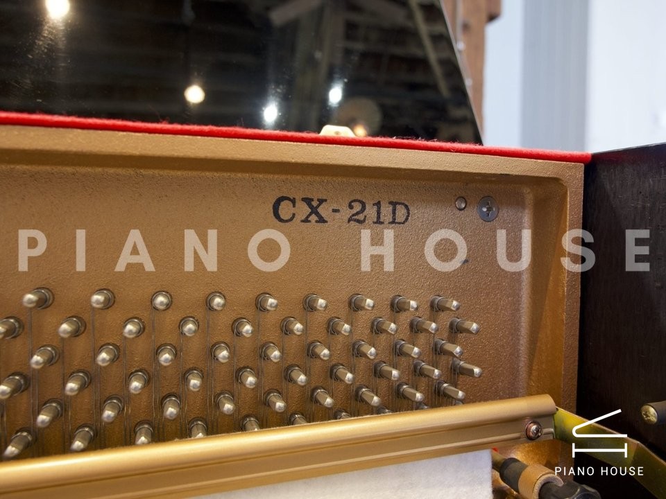 Kawai CX21D Detail