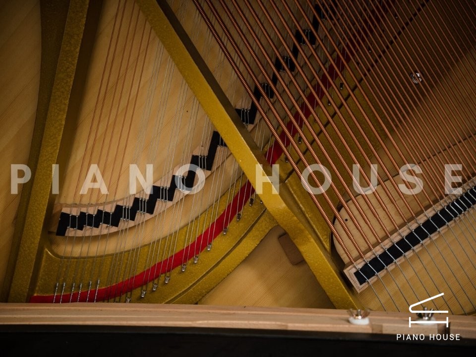 Wessell Nickel & Gross Action