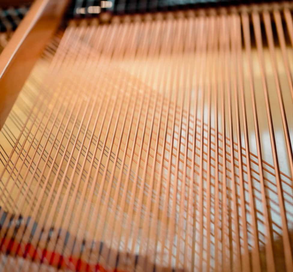 Pleyel Model Series 2