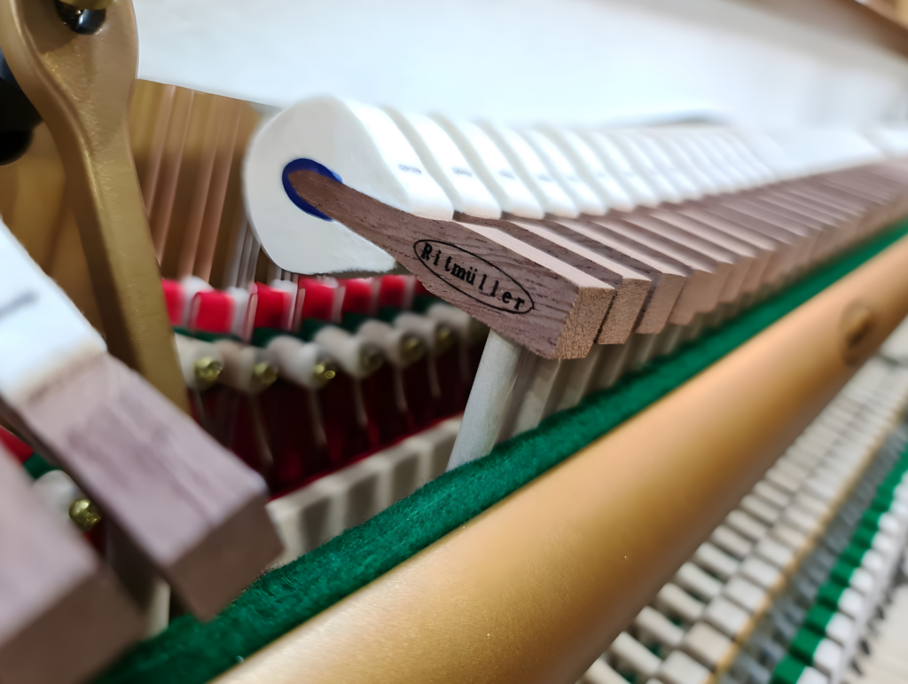 Ritmüller Cabinet Detail