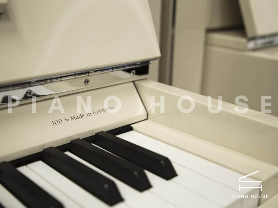 Sauter Pure Basic 122 Interior