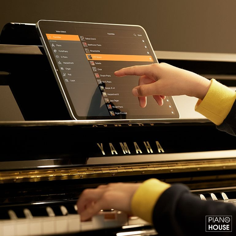 Silent Piano Control Box