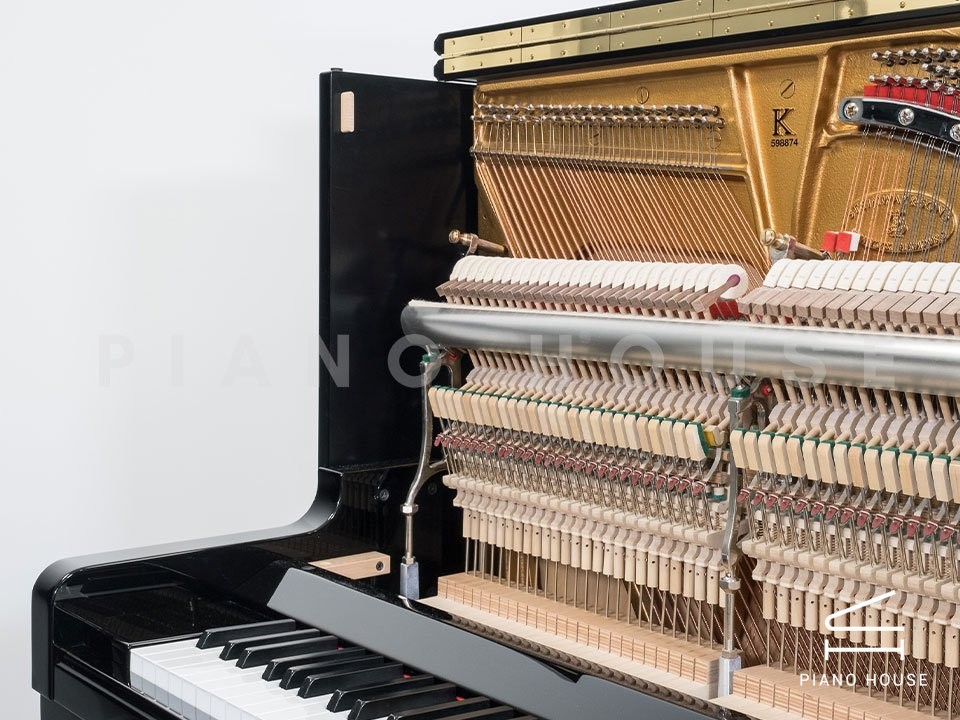 Steinway Detail