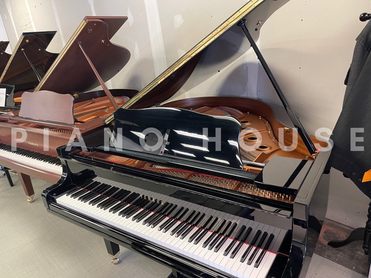 Yamaha GC1 TA Detail