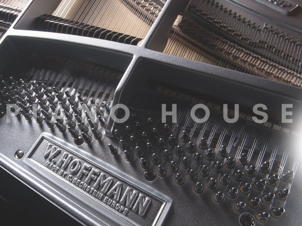 W.Hoffmann P188 Action