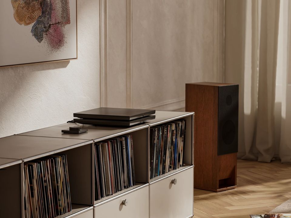 Devialet Expert 440 Pro Dual Detail