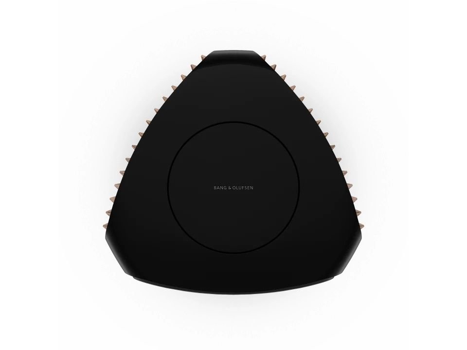 Hình ảnh chi tiết Loa B&O Beolab 50 - Smoked Oak (New) góc chụp 7