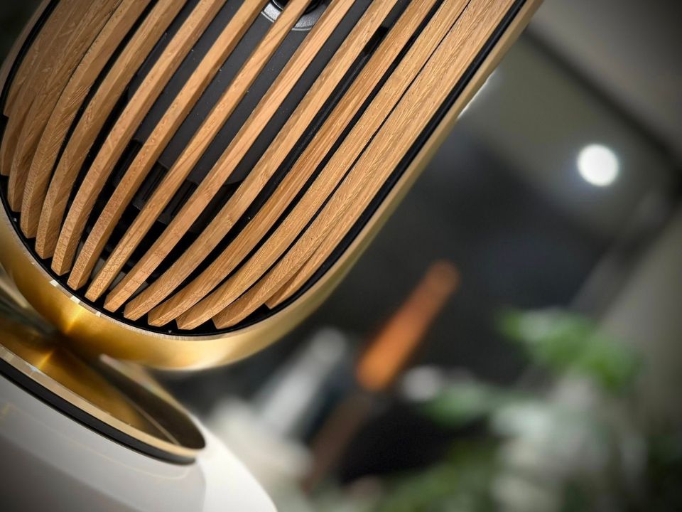 Chi tiết Loa B&O Beolab 8 - Gold Tone (New) - Hình 4
