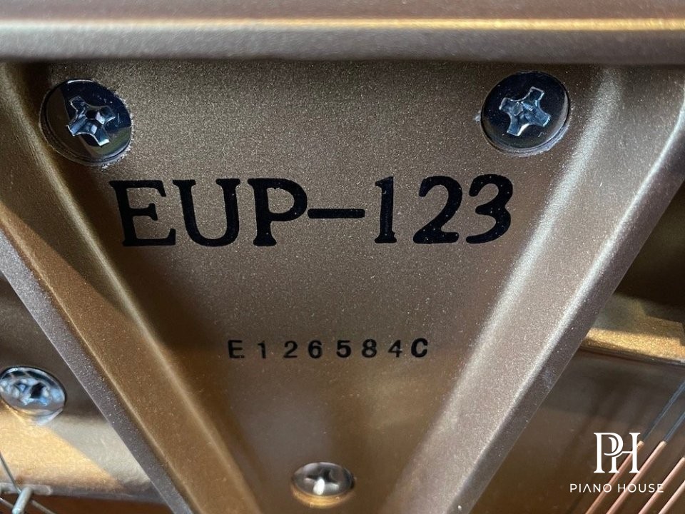 Essex EUP-123E Final Detail