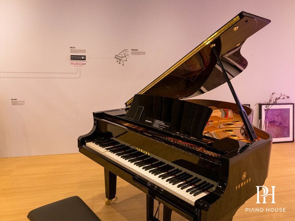 Yamaha Disklavier Grand Bottom Speaker Acoustics System