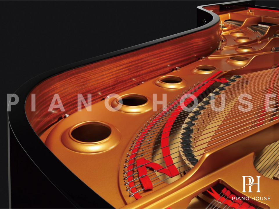Yamaha CF Series Solid Back Bracing Backposts Structure
