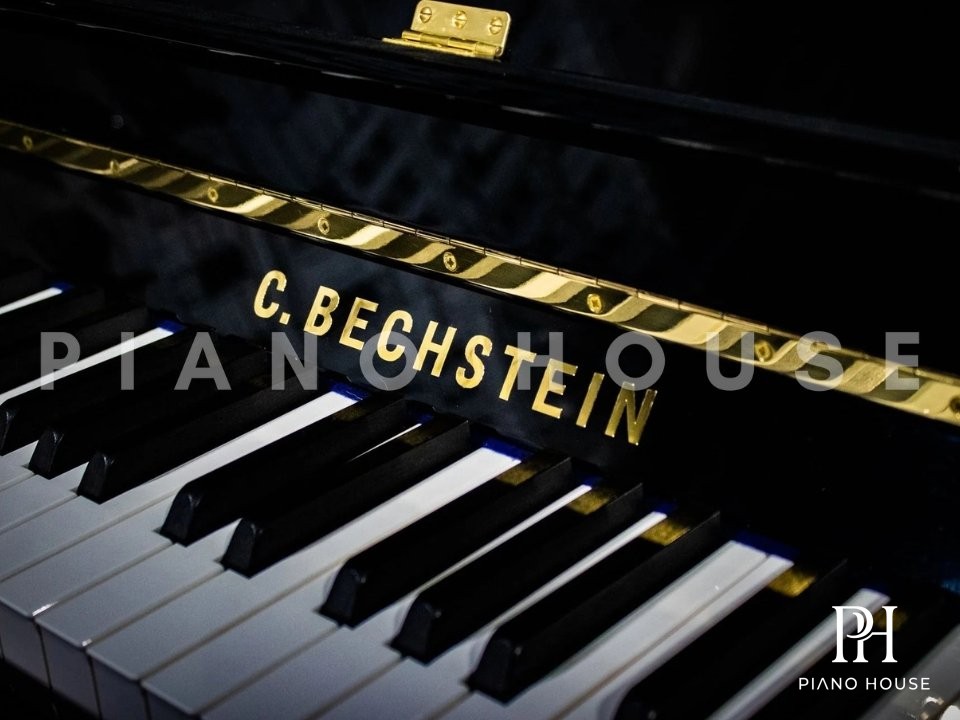 C. Bechstein Academy A4 Premium German Hammer Components