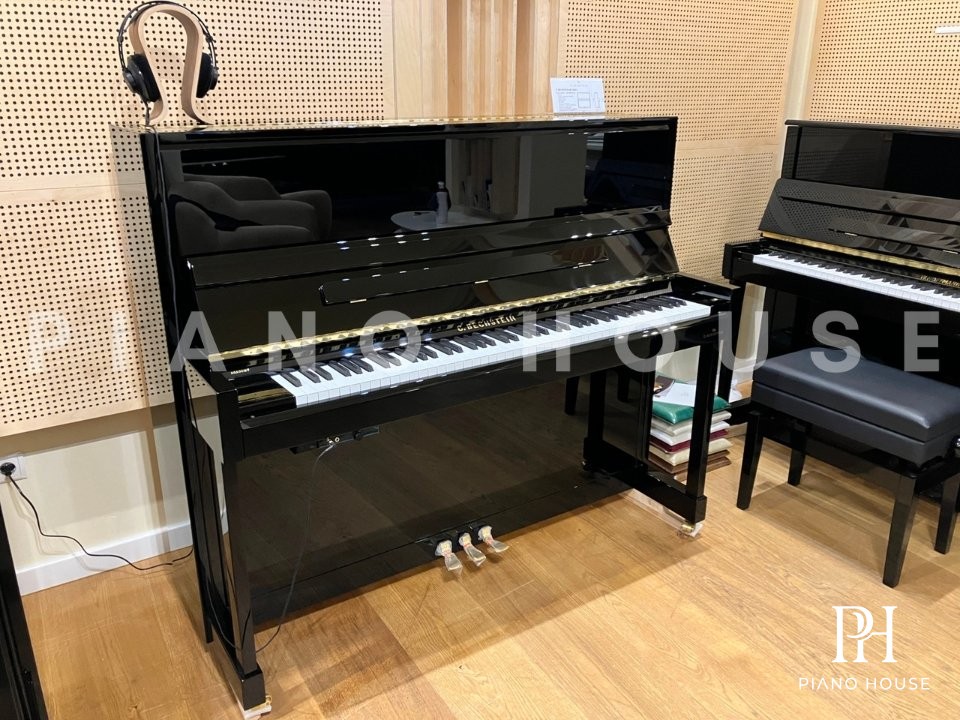C. Bechstein Academy A6 Solid Spruce Soundboard Matrix