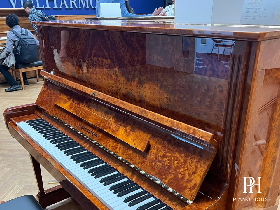 C. Bechstein Concert C8 Soundboard Spruce Wood Cut Section