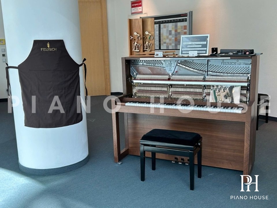 Feurich 123 Vienna Satin Black Brass Professional Upright Piano