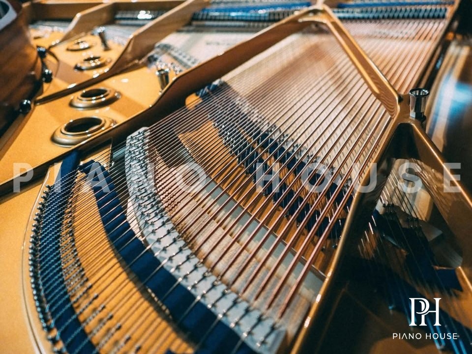 Model A Concert Frame