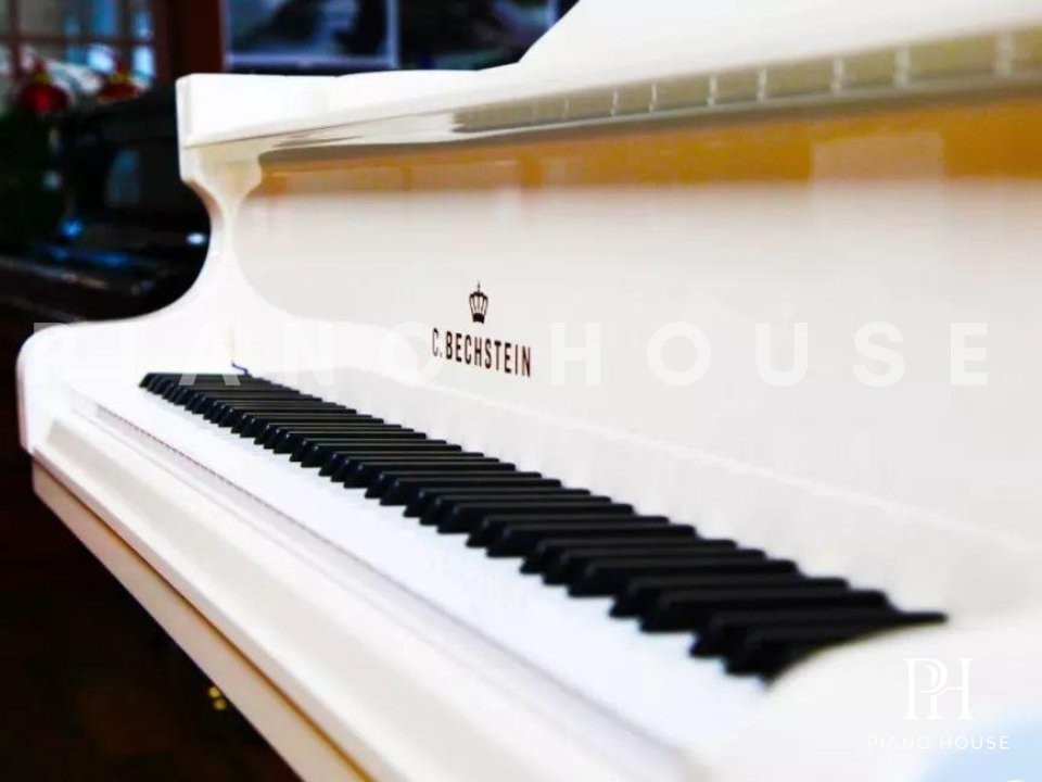 Model B White Profile