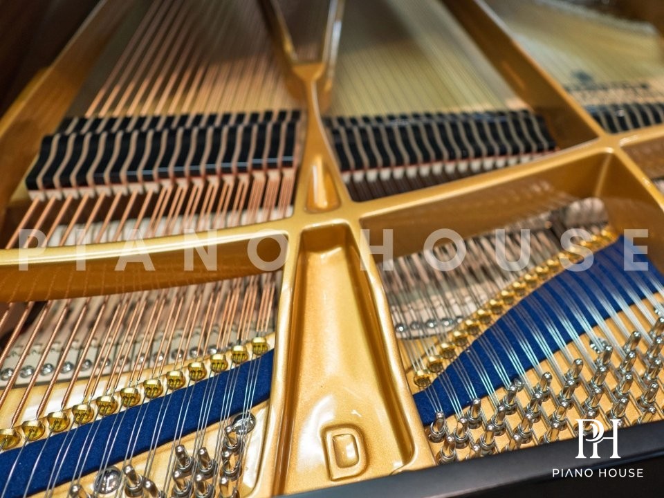 Model D Performance