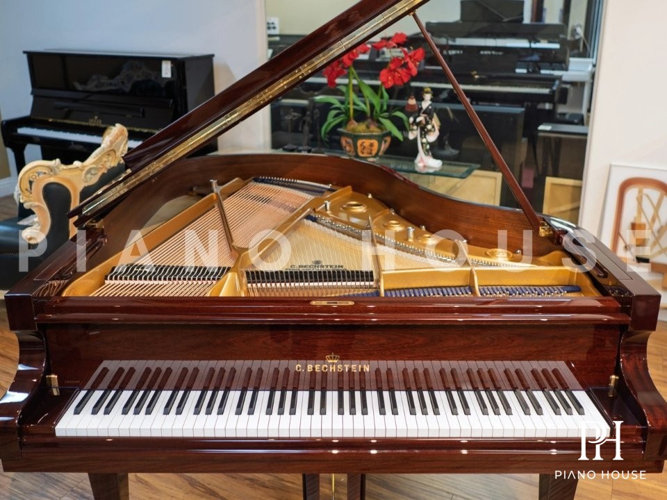 Model L Mahogany Detail