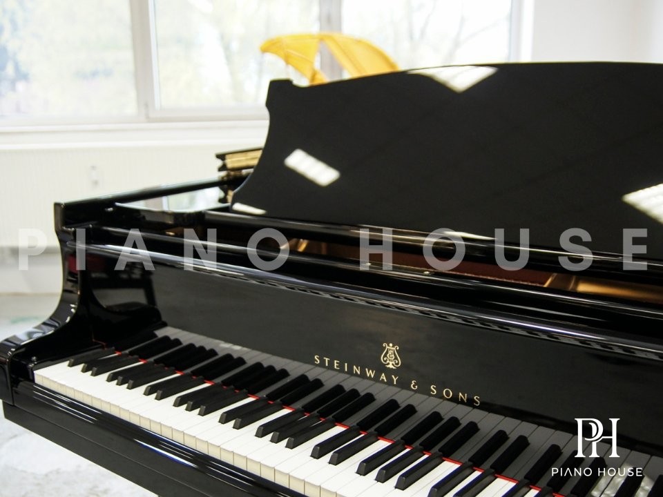 Steinway A-188 Cast Iron Plate and Tuning Pins Array