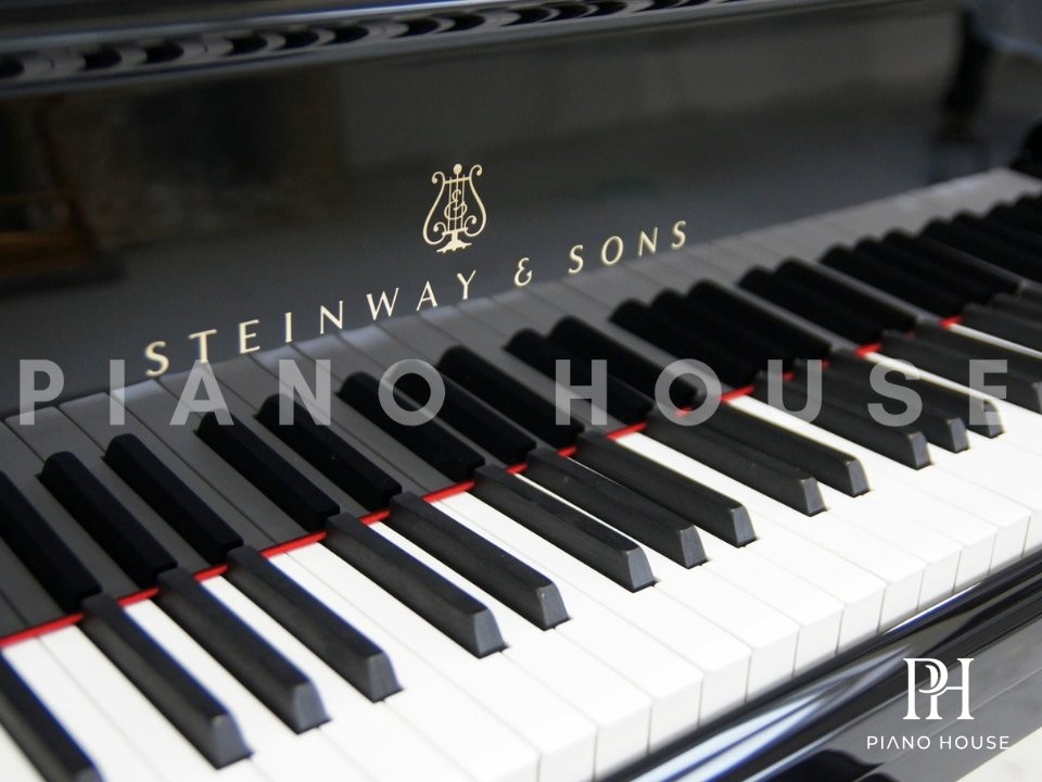 Steinway A-188 Detailed Action Hammers and Dampers Mechanics