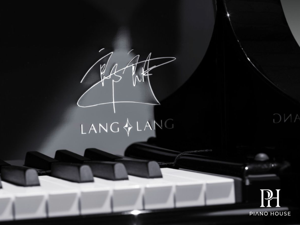 Steinway Spirio Black Diamond Keybed and Music Desk Profile