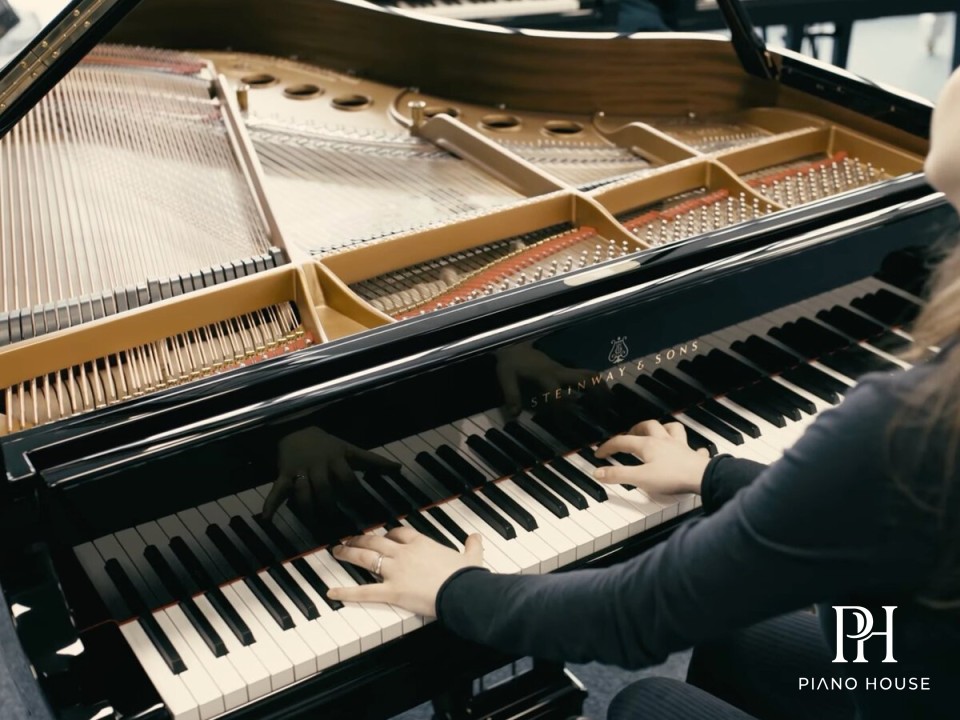 Steinway Model M-170 Soundboard and Bracing Structural Detail