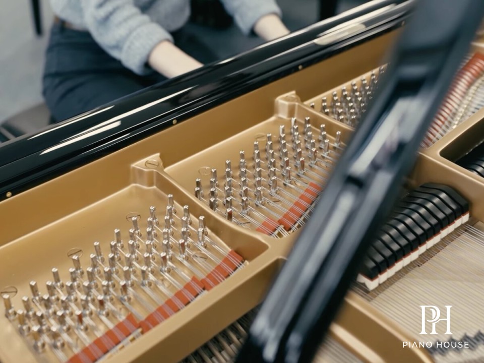 Steinway & Sons Model S-155 Soundboard and Internal Rim Layout